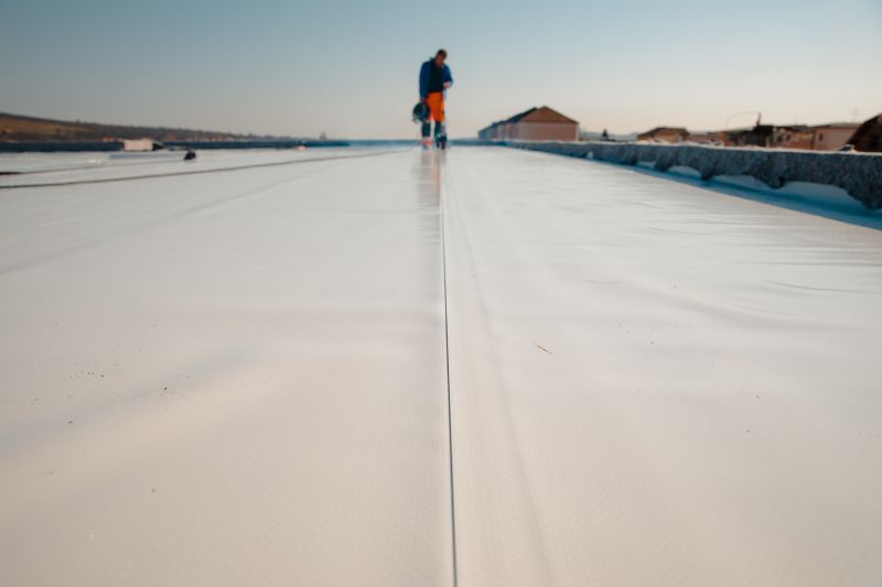 Tpo Roof Coating Service detail